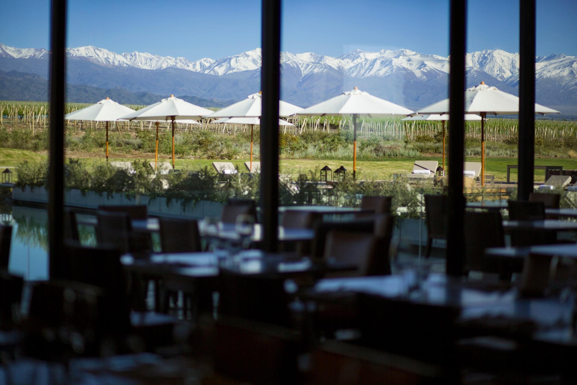 The Vines Resort & Spa - 5