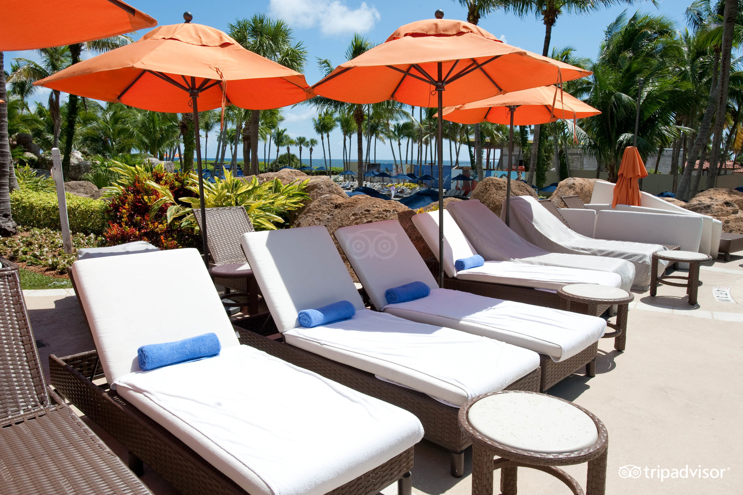 Eau Palm Beach Resort And Spa - 3