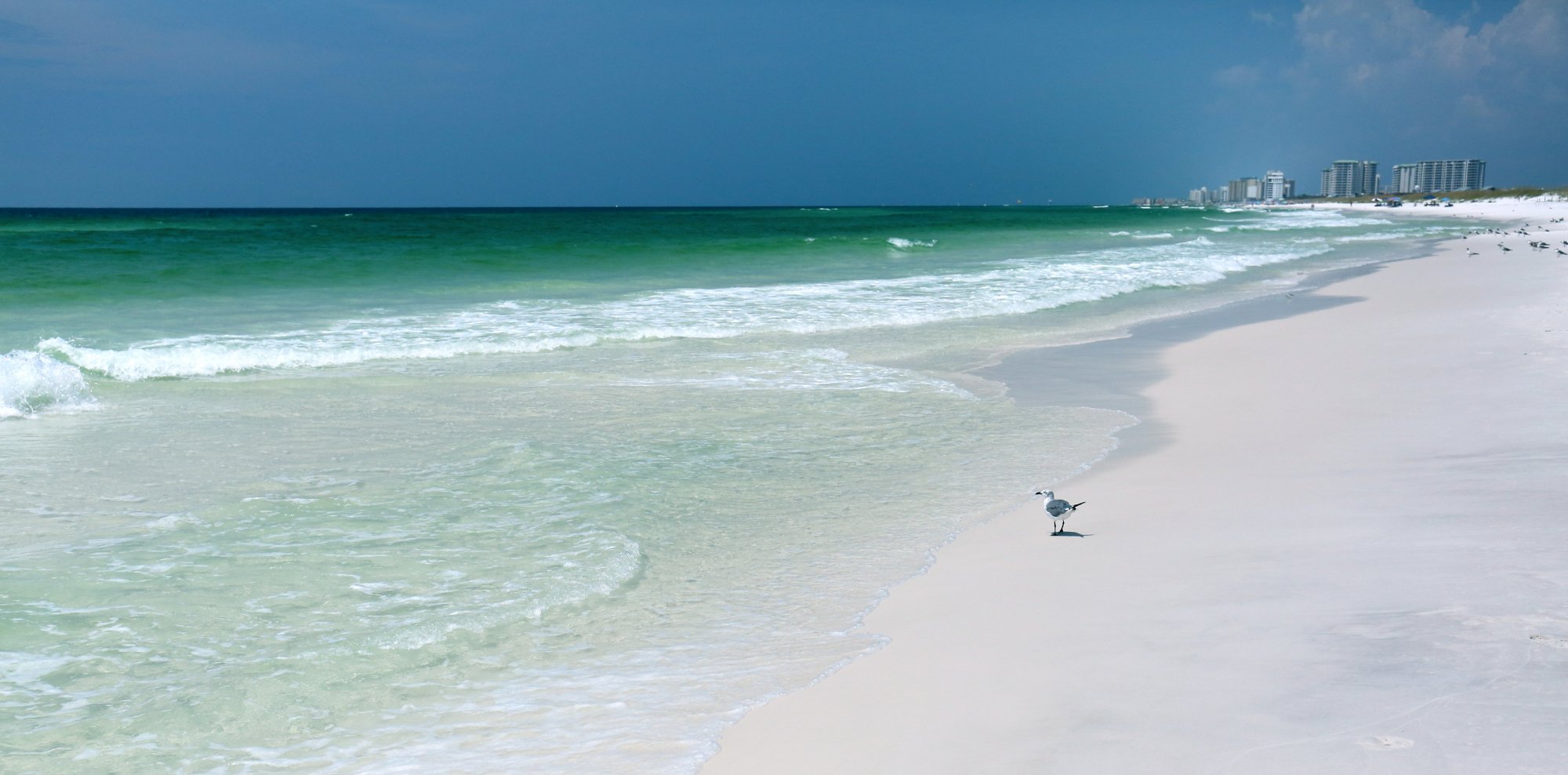 The Henderson Beach Resort & Spa - 3