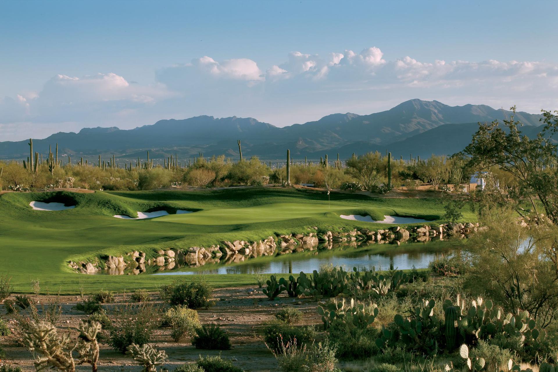 The Ritz-carlton, Dove Mountain - 4