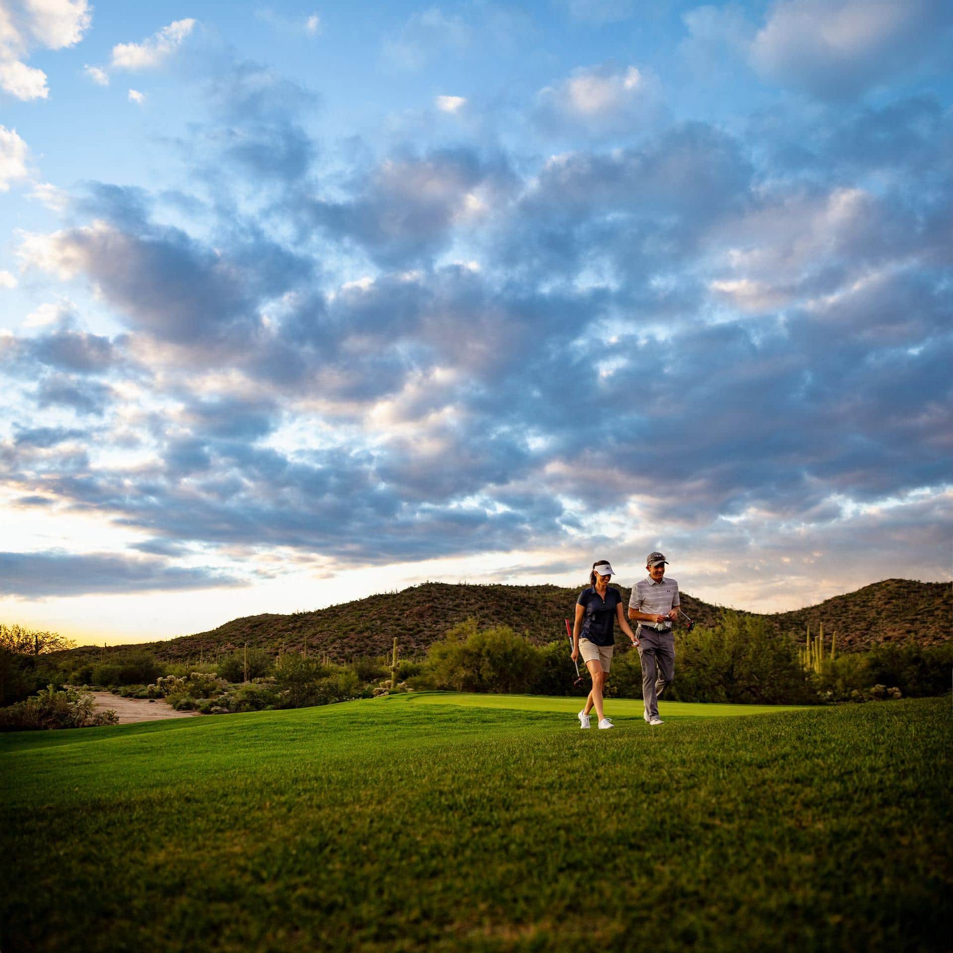 The Ritz-carlton, Dove Mountain - 5