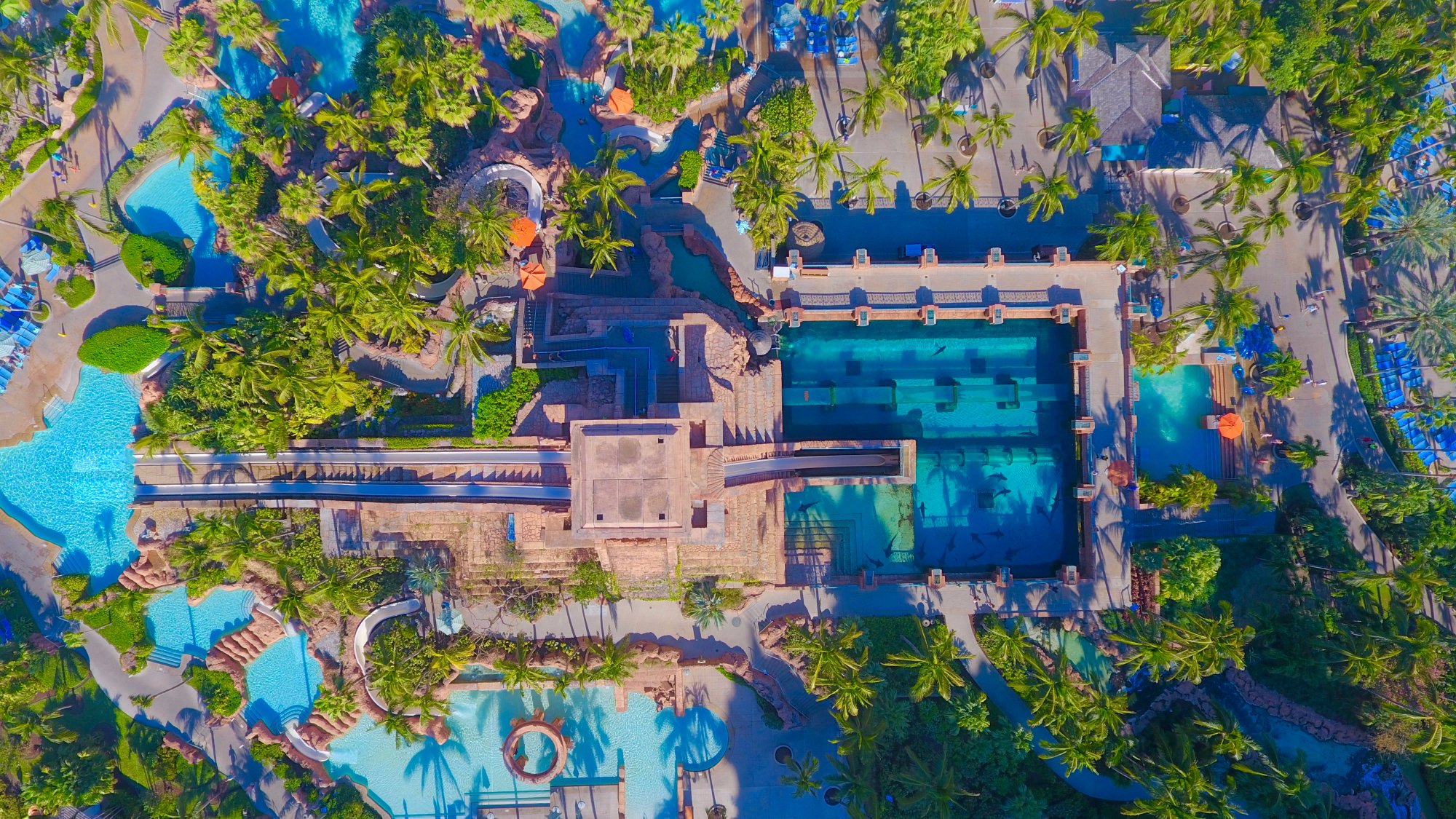The Reef At Atlantis - 3