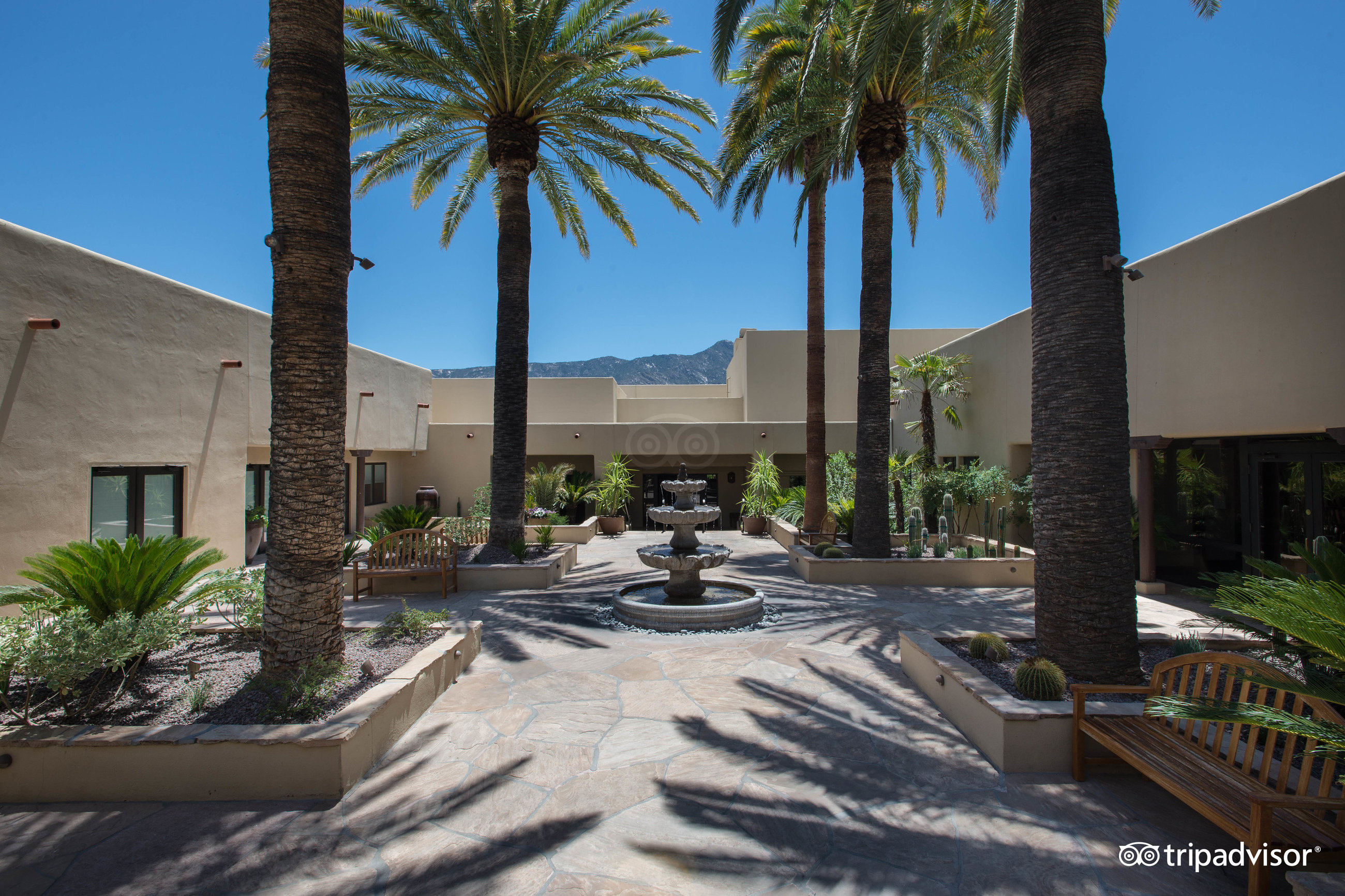 Miraval Arizona Resort And Spa - 5