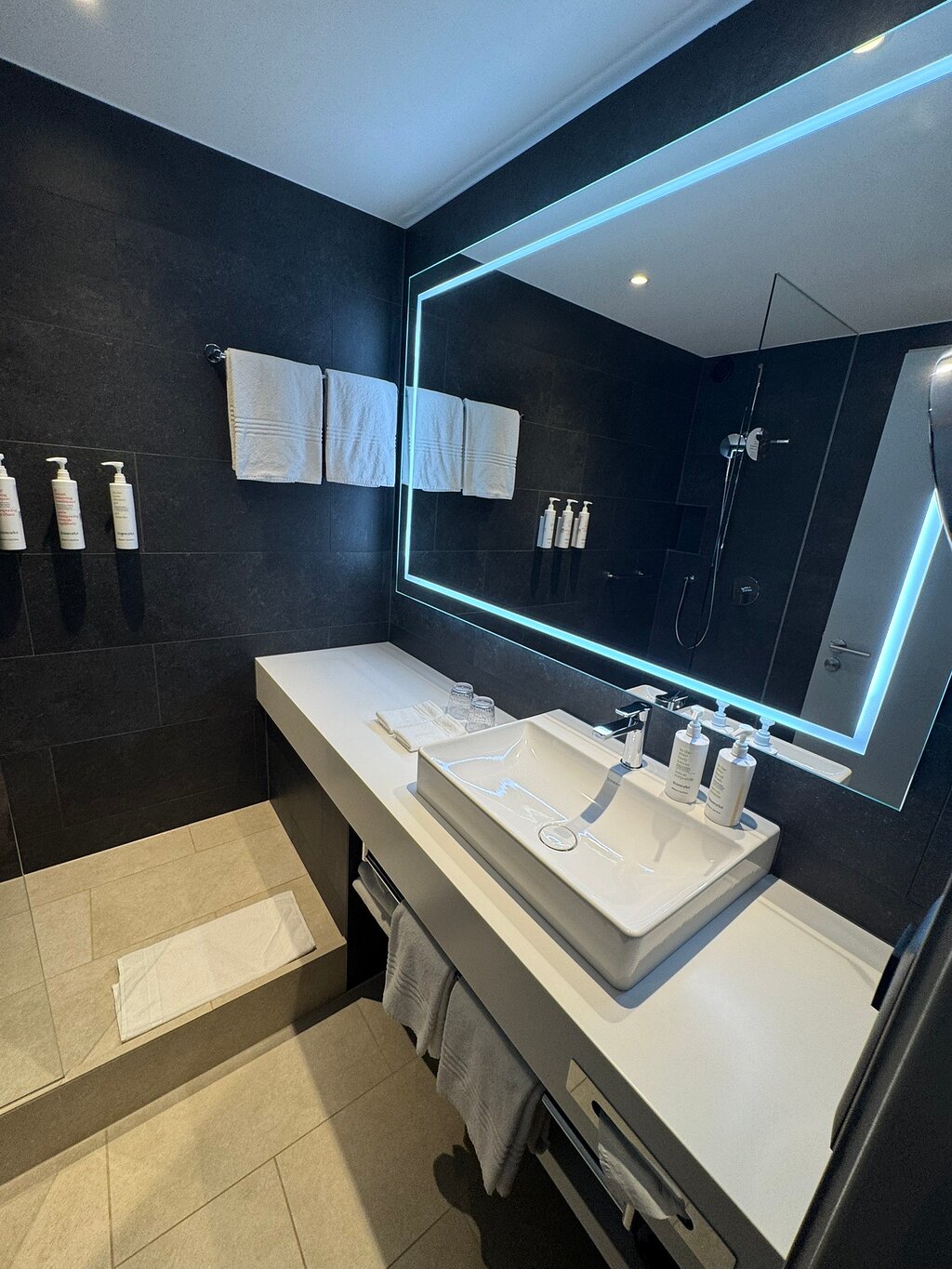 Basel Marriott Hotel - 4