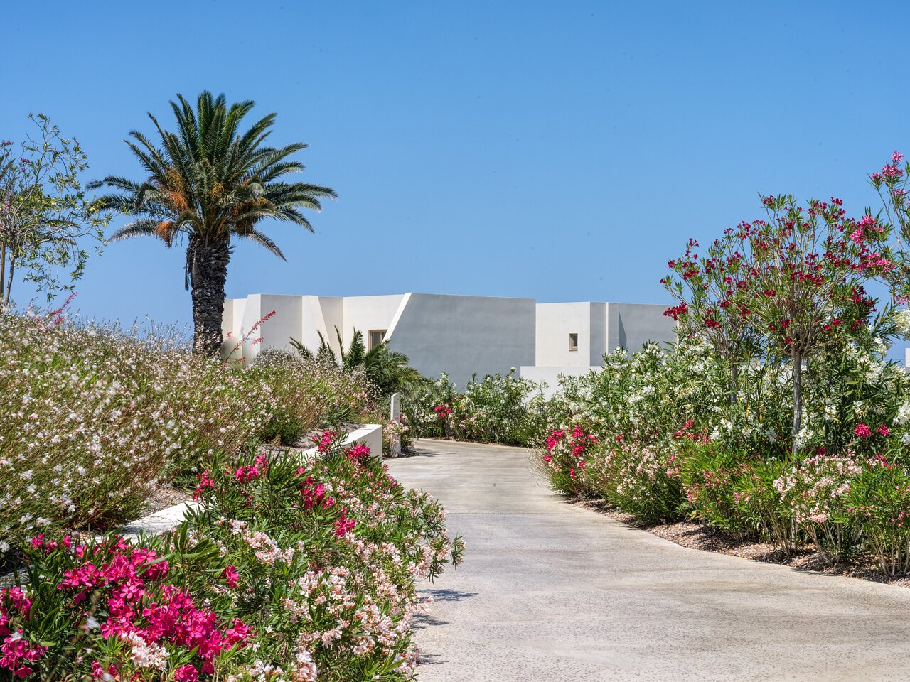 Nous Santorini - 3