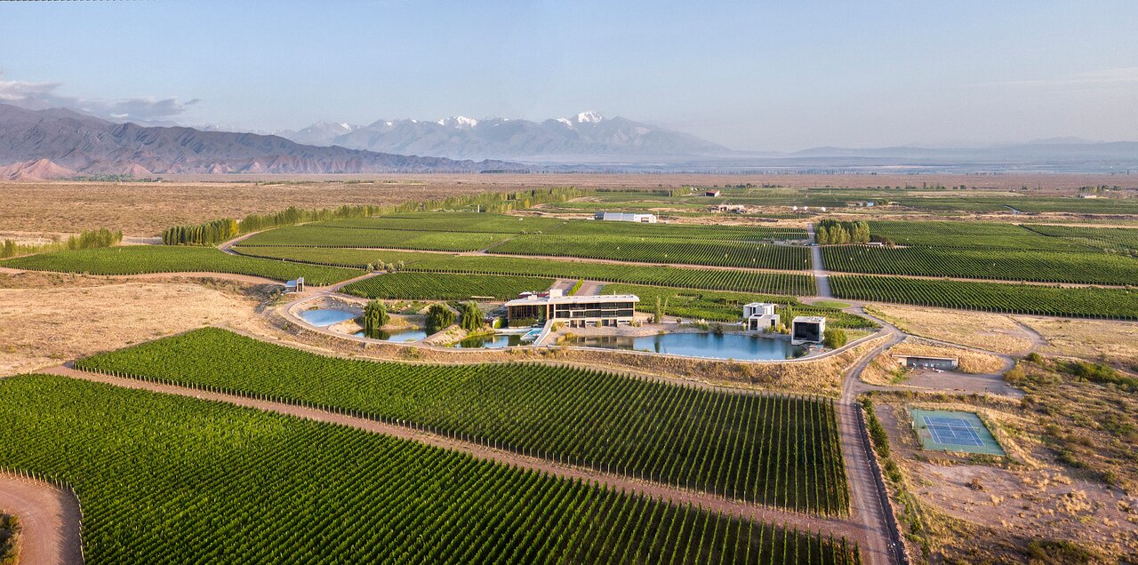 Casa De Uco Vineyards And Wine - 1