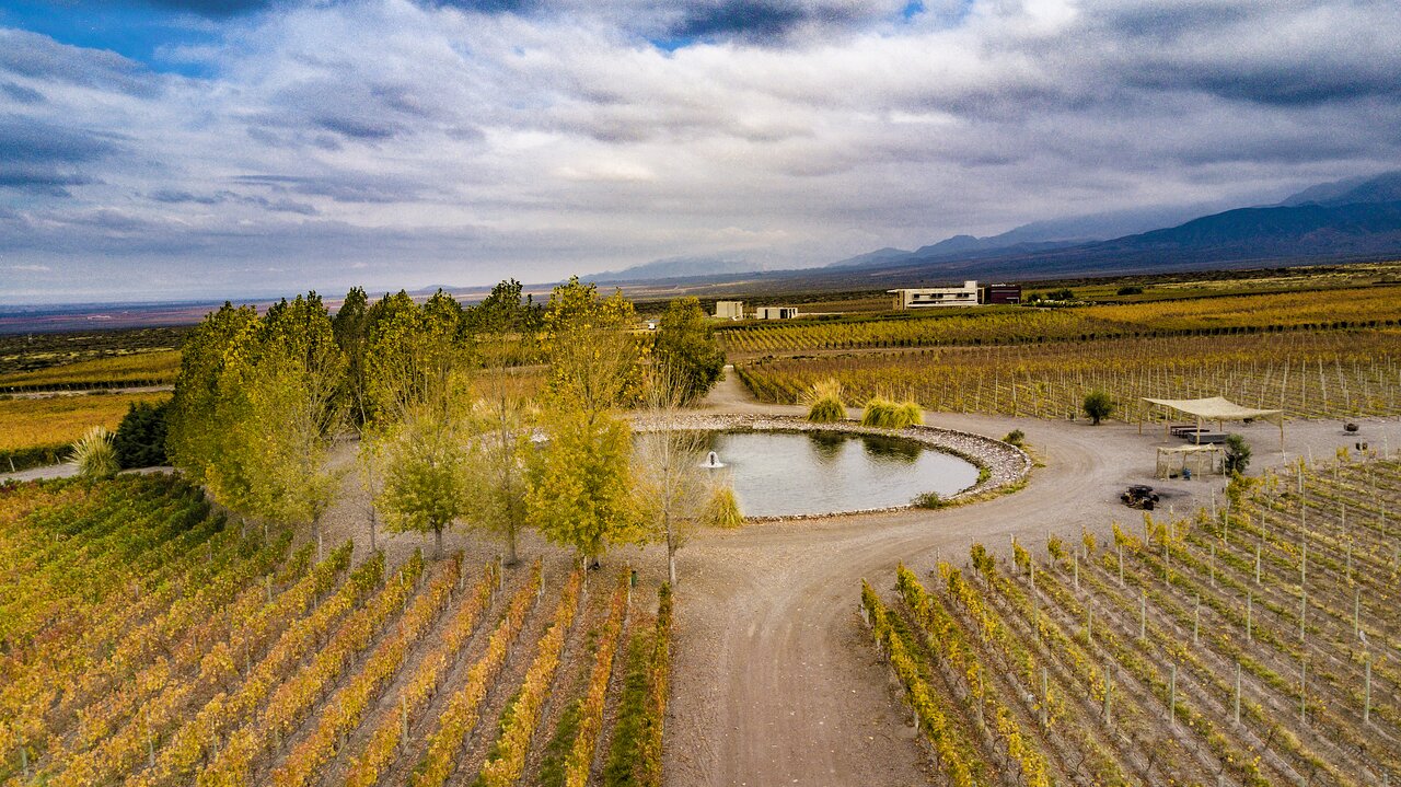 Casa De Uco Vineyards And Wine - 4