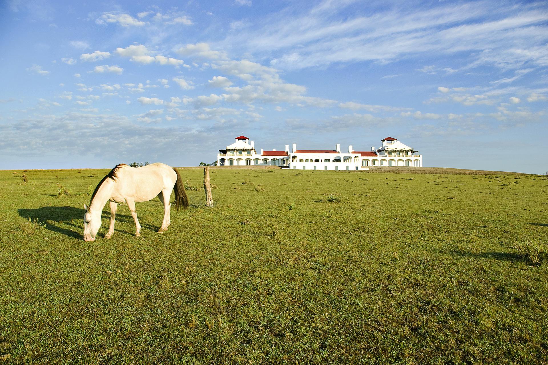 Estancia Vik Jose Ignacio - 1